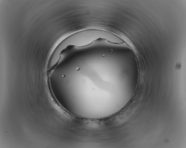 X0000090920955200708201803