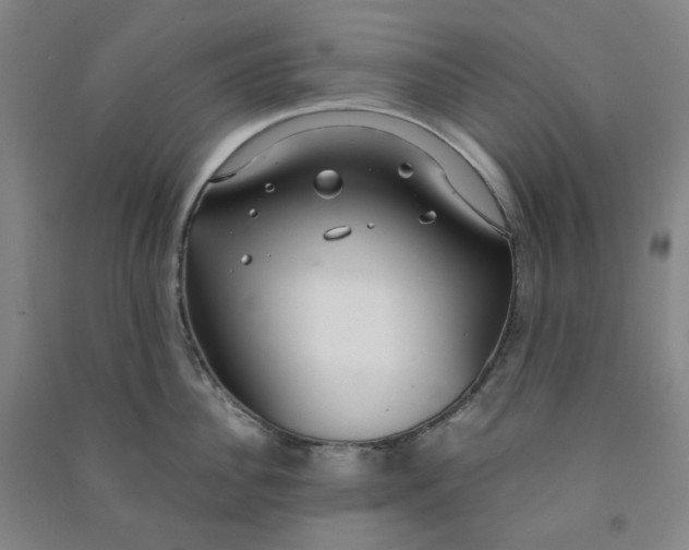 X0000090920956200708201803