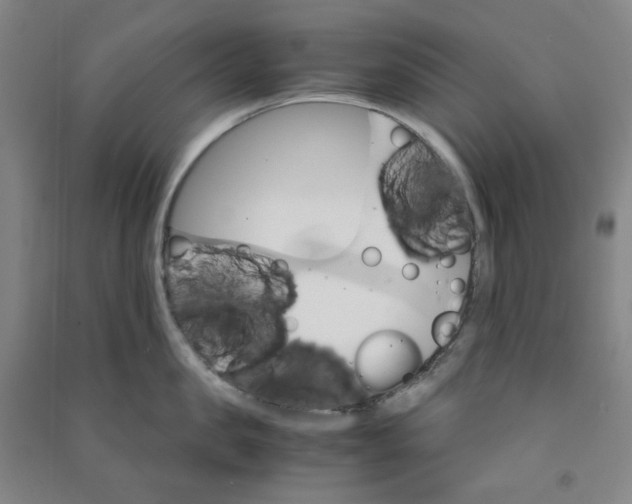 X0000090920957200708201803