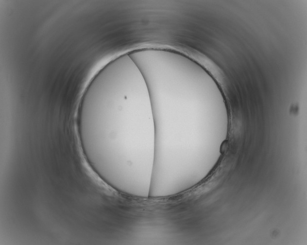 X0000090920958200708201803