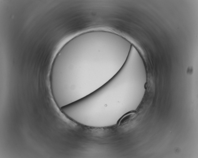 X0000090920959200708201803