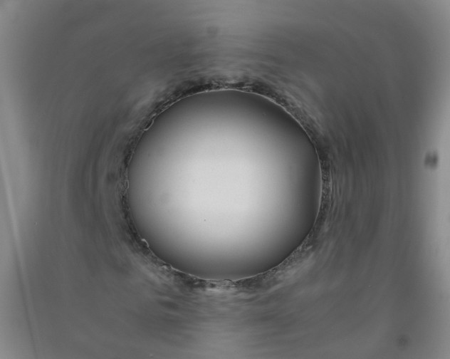 X0000090920961200708201802