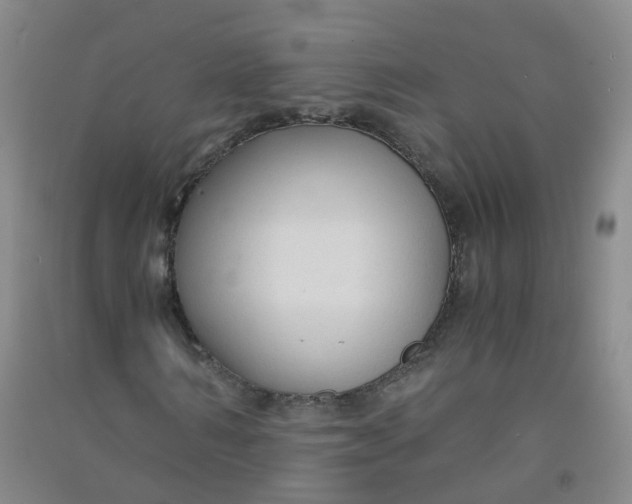 X0000090920962200708201802