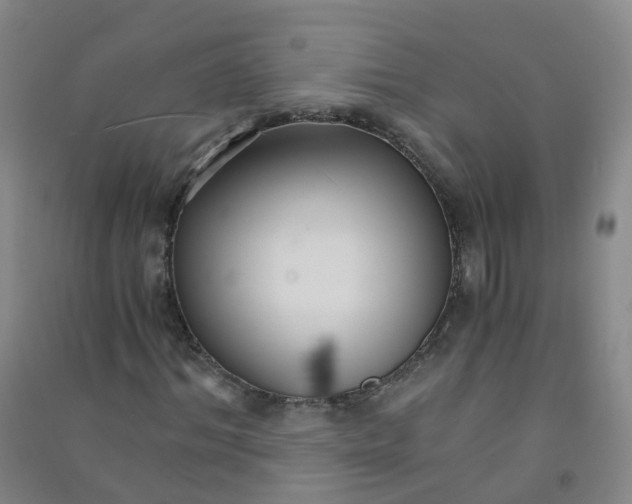 X0000090920964200708201802