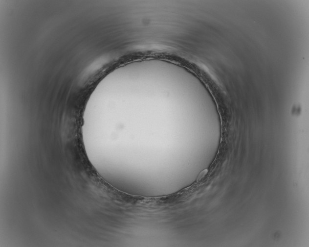 X0000090920967200708201802