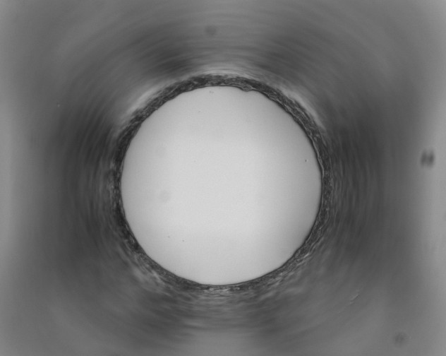 X0000090920968200708201802