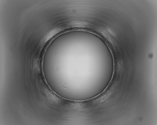 X0000090920970200708201802