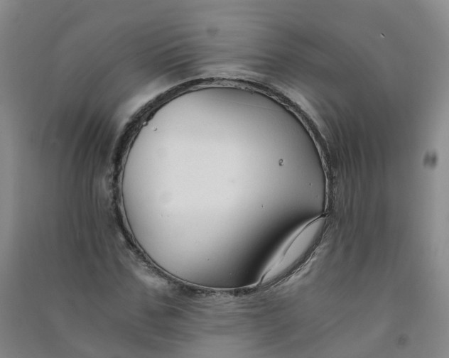 X0000090920971200708201802