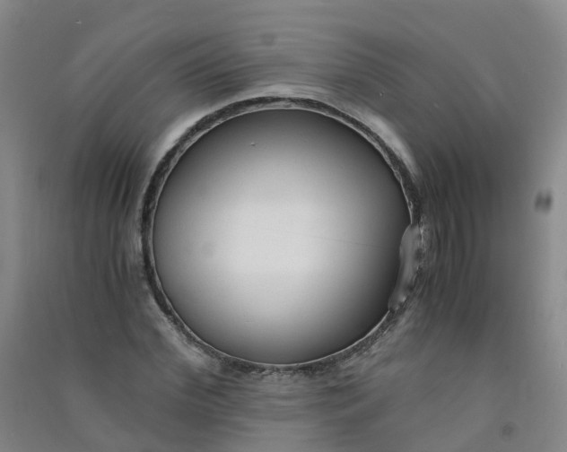 X0000090920972200708201802