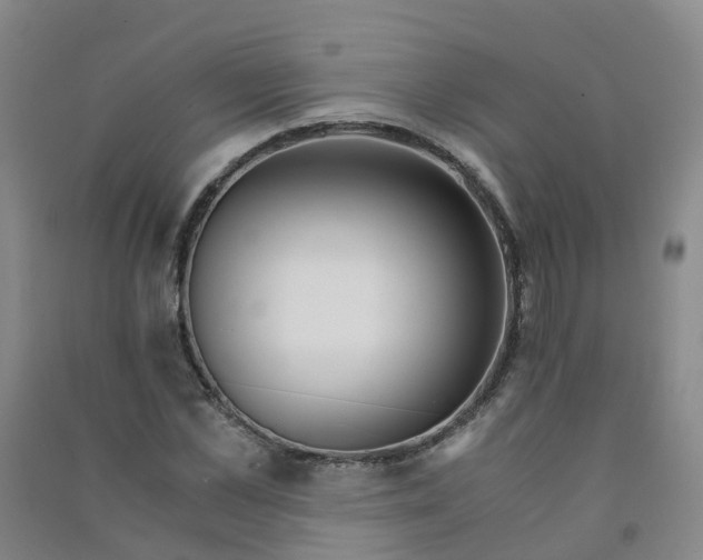 X0000090920973200708201802