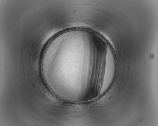 X0000090920975200708201802