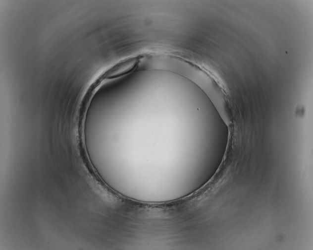 X0000090920976200708201802