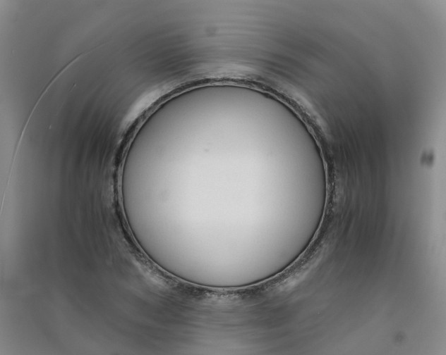 X0000090920978200708201802