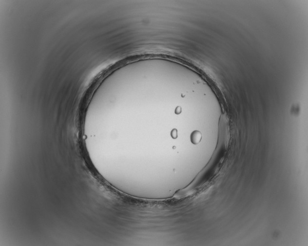 X0000090920979200708201802