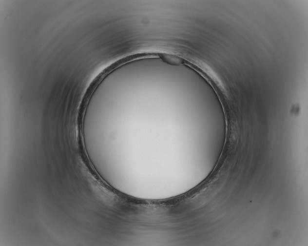 X0000090920980200708201802