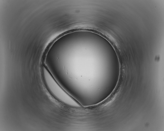 X0000090920981200708201802