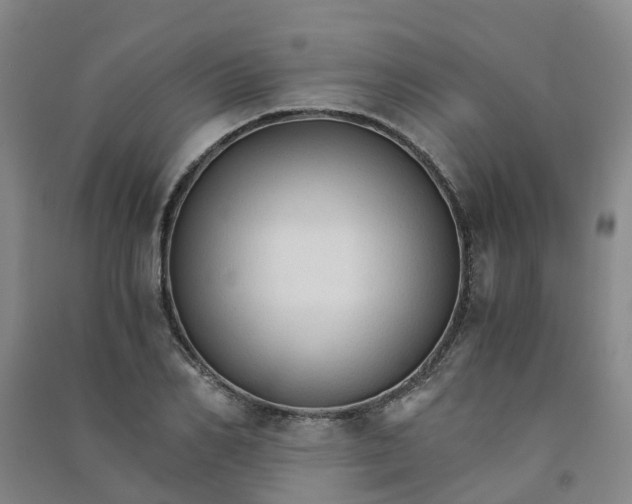 X0000090920982200708201802