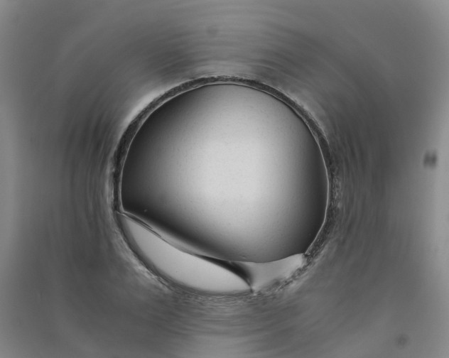 X0000090920983200708201802