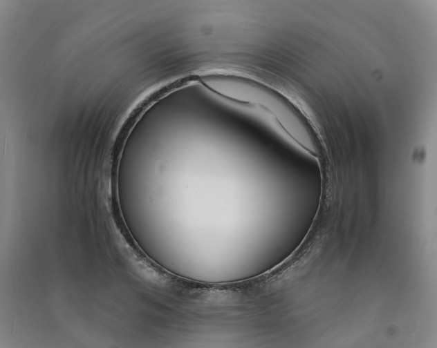 X0000090920984200708201802