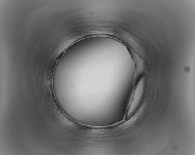 X0000090920985200708201802