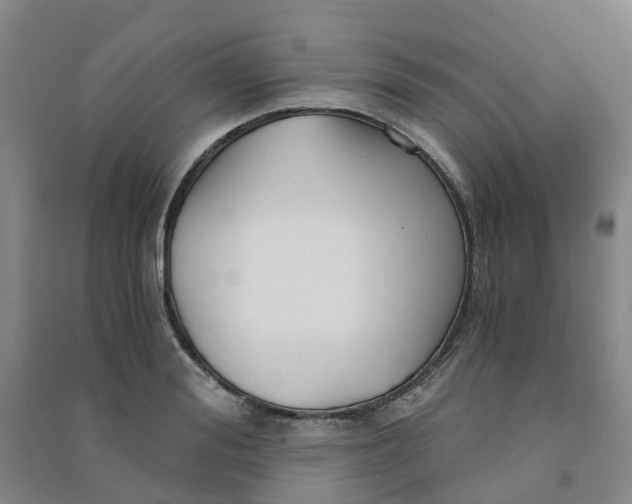 X0000090920988200708201802