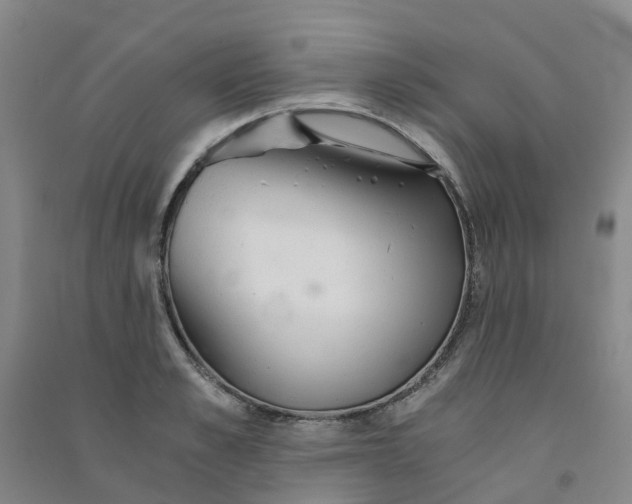 X0000090920989200708201802