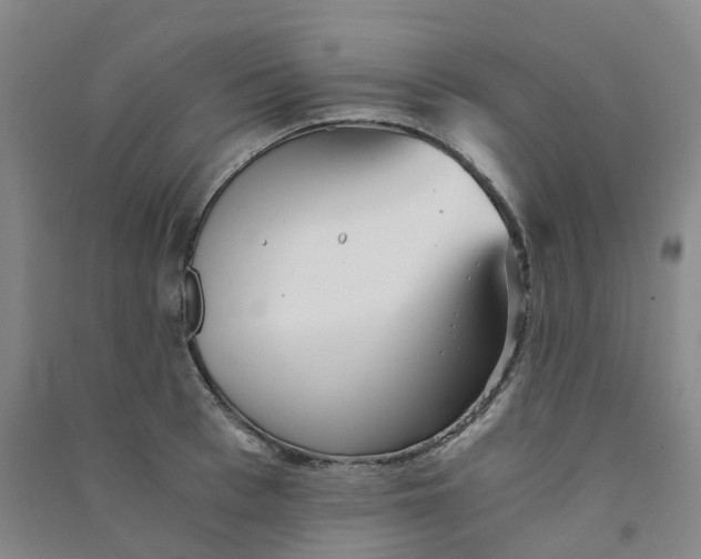 X0000090920993200708201802