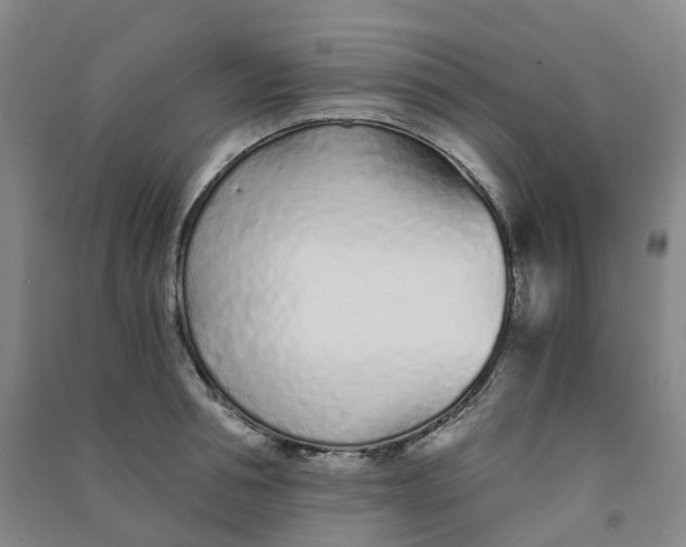 X0000090920994200708201802