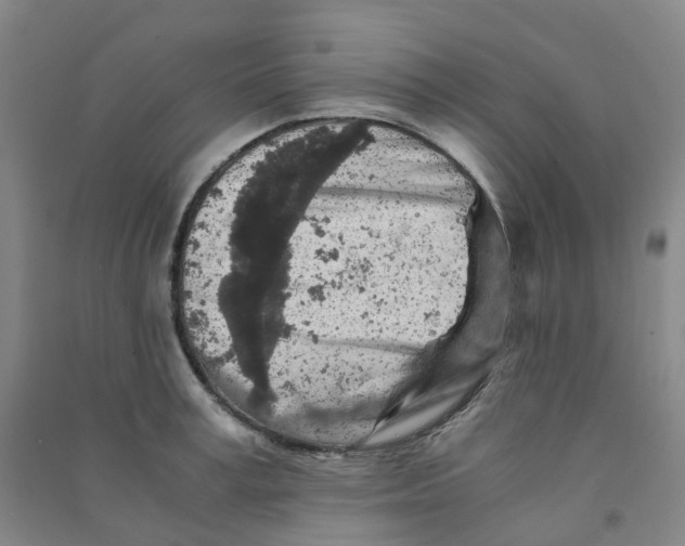 X0000090920995200708201802