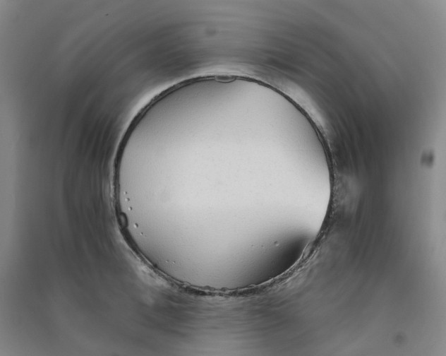 X0000090920996200708201802