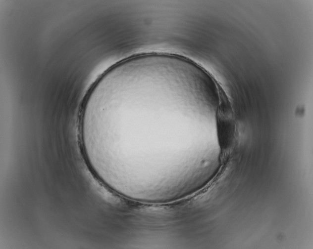 X0000090920998200708201802