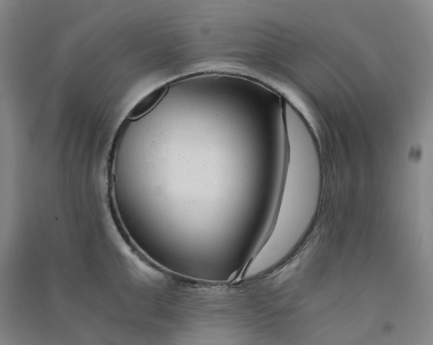 X0000090920999200708201802