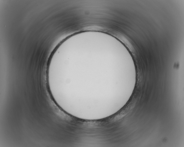 X0000090921000200708201802