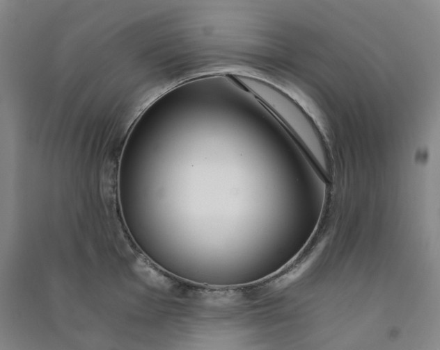 X0000090921001200708201802