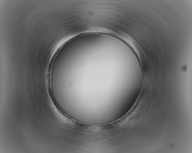 X0000090921003200708201802