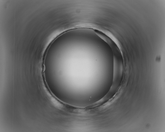 X0000090921005200708201802