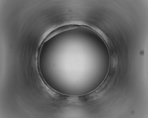 X0000090921006200708201802