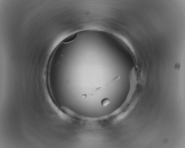 X0000090921007200708201802