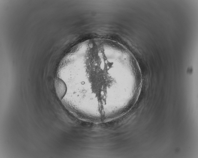 X0000090921009200708201801