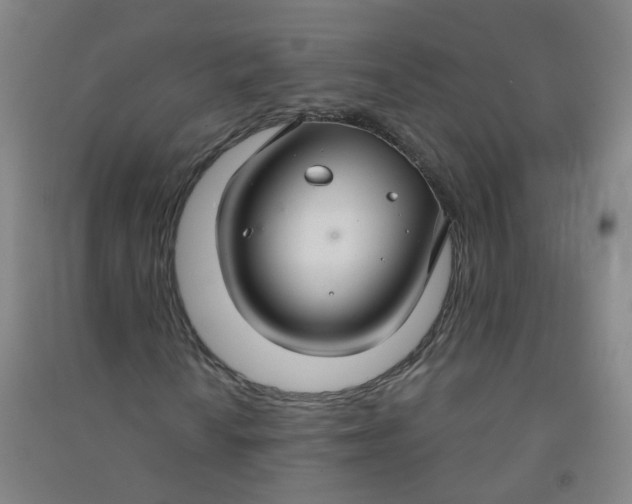 X0000090921010200708201801