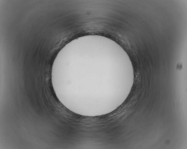 X0000090921012200708201801