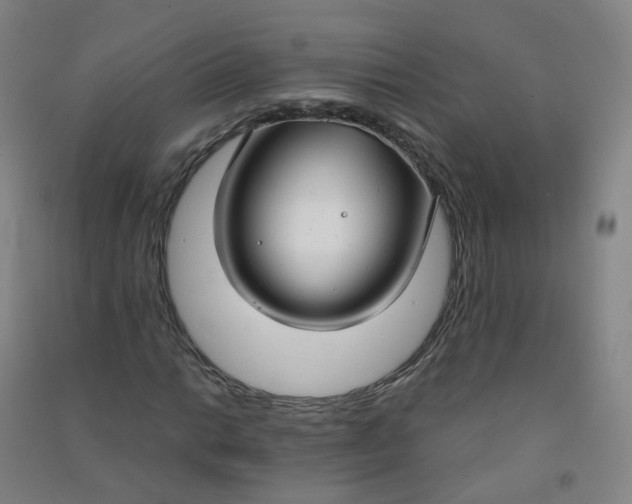 X0000090921014200708201801