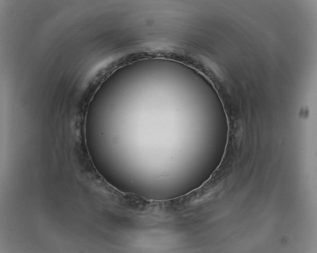 X0000090921016200708201801