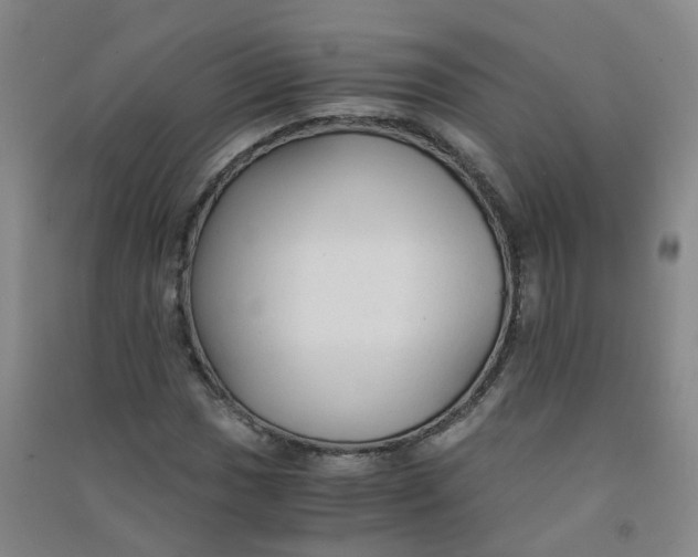 X0000090921017200708201801