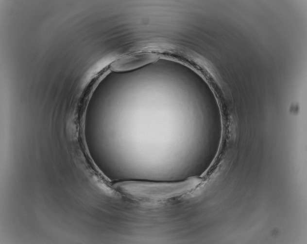 X0000090921018200708201801