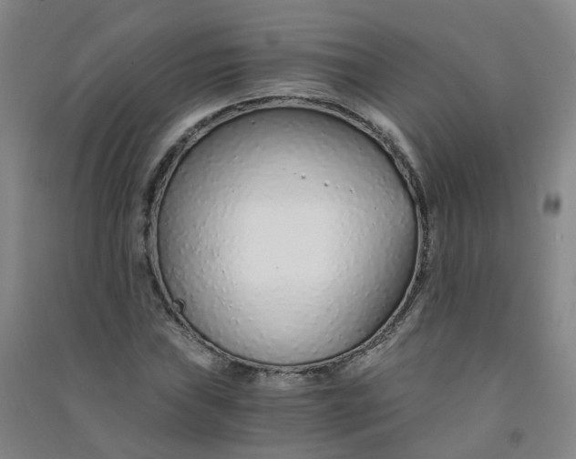 X0000090921019200708201801