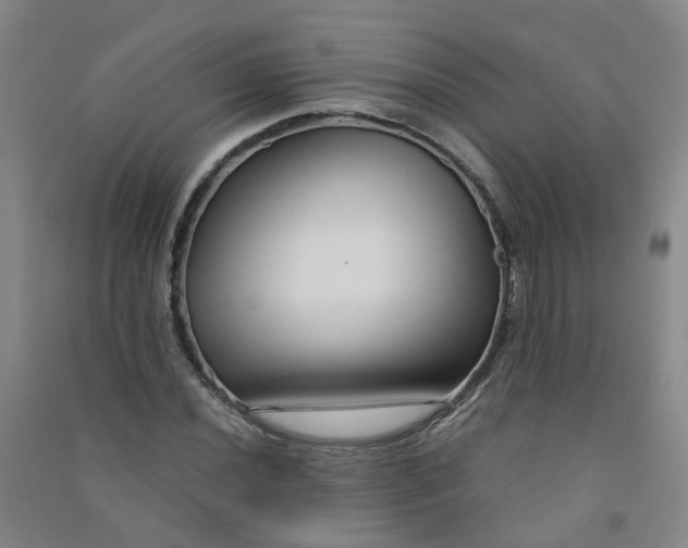 X0000090921020200708201801