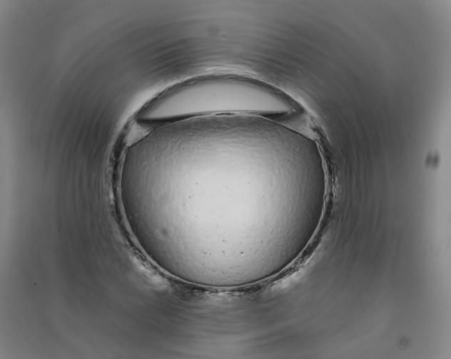 X0000090921022200708201801