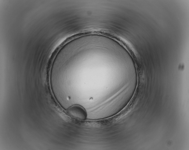 X0000090921023200708201801