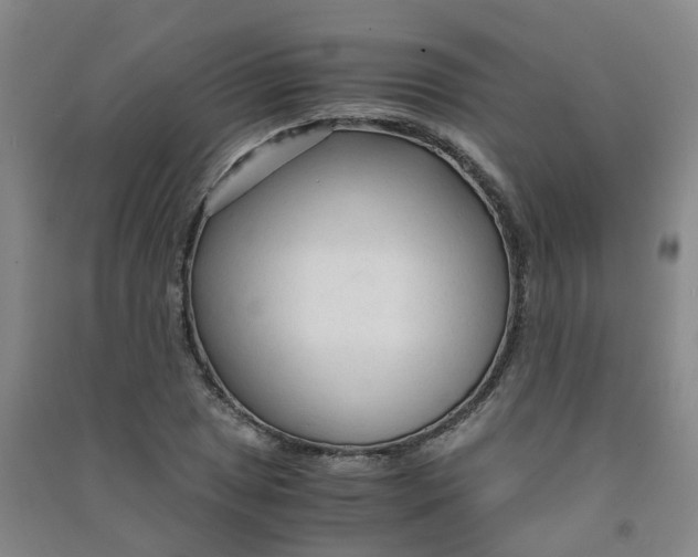 X0000090921025200708201801